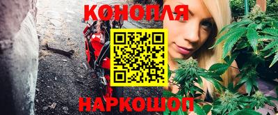 ГАЛЛЮЦИНОГЕННЫЕ ГРИБЫ Заволжье